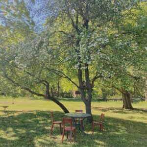 Planeet Ruhnu maitsed 08