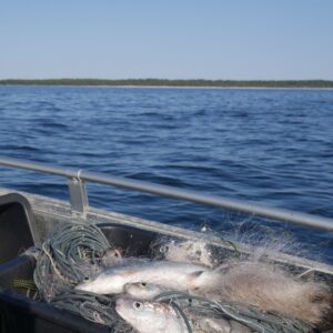 Ruhnu Kultuuriruum 10